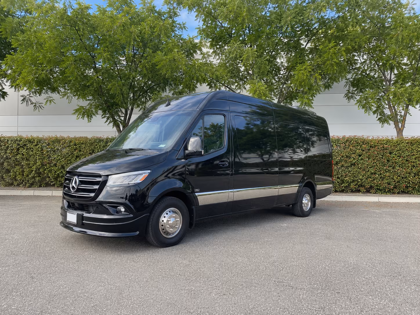 redwood city sprinter van with driver